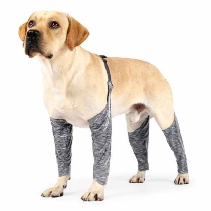 Dog Leg Sleeve for Anti-Licking Anti-Dirt
